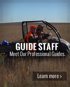 guided pheasant hunting colorado