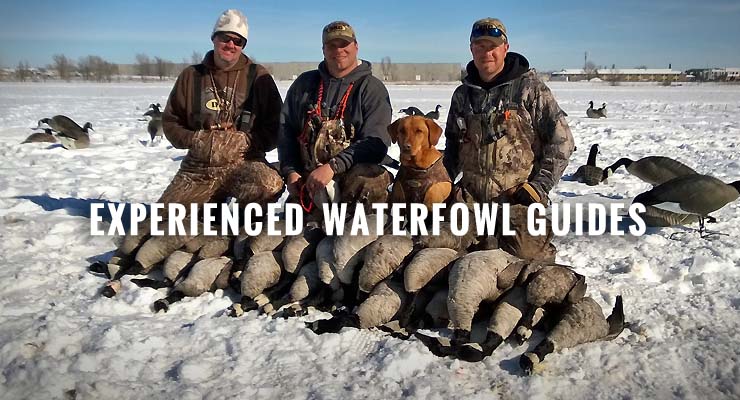 duck geese goose hunting denver colorado