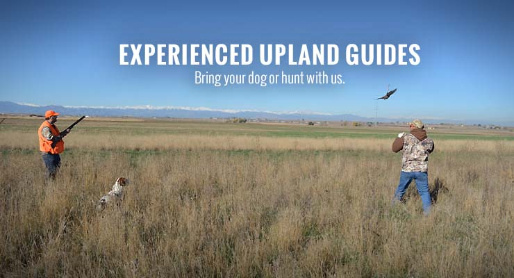 upland preserve hunting colorado