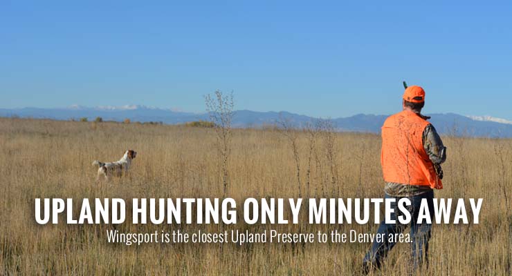 denver pheasant hunting colorado