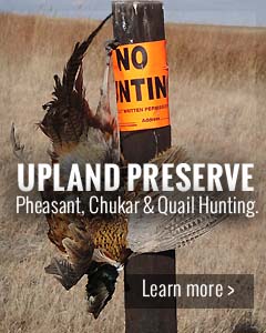 Upland Preserve Pheasant and Chukar hunting Colorado 